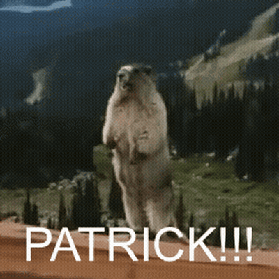 Squirrel Standing On Hind Legs Saying Patrick GIF