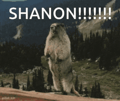 Squirrel Standing On Hind Legs Shanon GIF