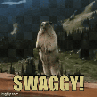 Squirrel Standing On Hind Legs Swaggy GIF