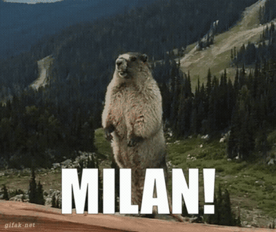 Squirrel Standing On Hind Legs With Milan GIF