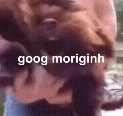 Squirrel Standing On Hind Legs With Ong Hai GIF