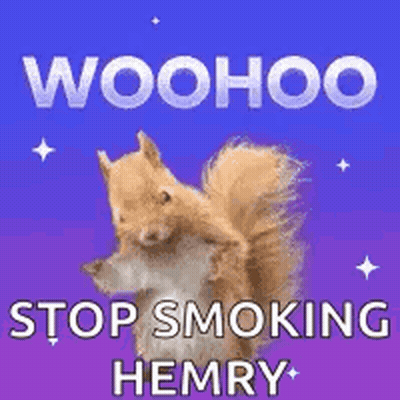 Squirrel Standing On Purple Background Woohoo Stop Smoking Henry GIF