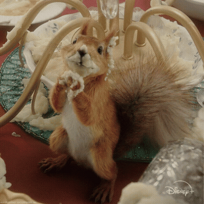 Squirrel Standing On Table With Disney Logo GIF
