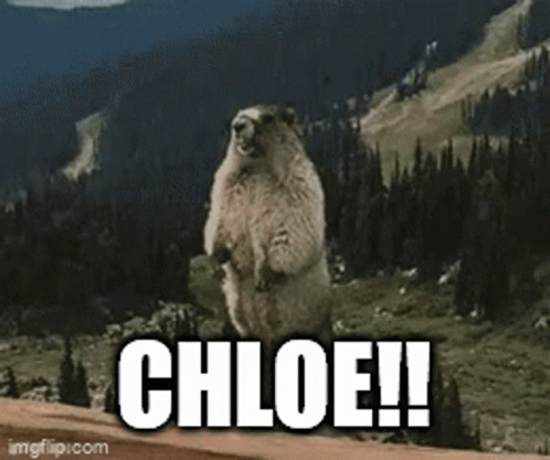 Squirrel Standing With Chloe GIF