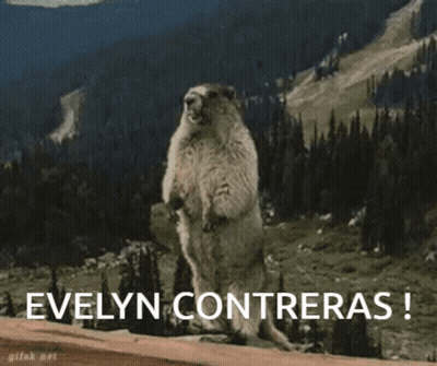 Squirrel Standing With Evelyn Contreras GIF