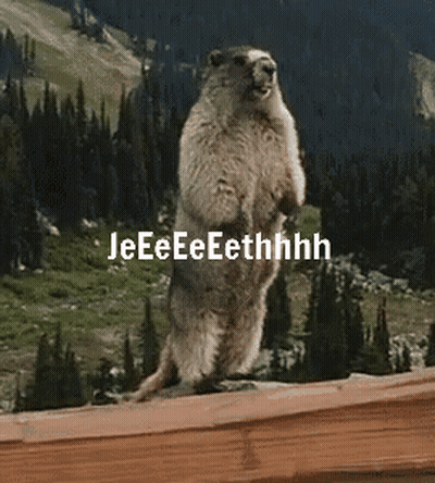 Squirrel Standing With Jeethhhh GIF