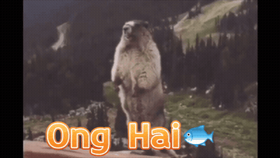 Squirrel Standing With Ong Hai GIF