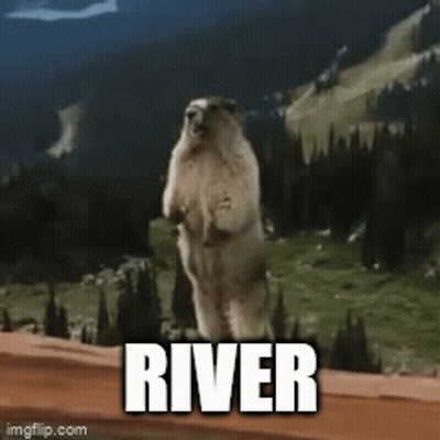 Squirrel Standing With River Above GIF