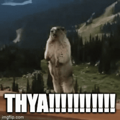 Squirrel Standing With Thya !!! Above GIF