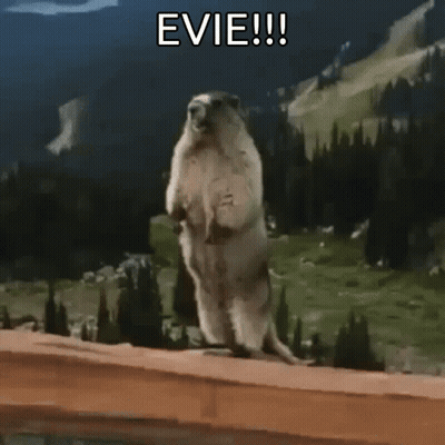 Squirrel Standing With Thya !!! Above GIF