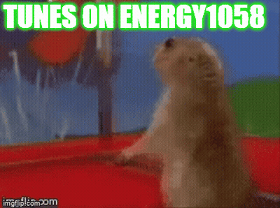 Squirrel Standing With Tunes On Energy 1068 GIF