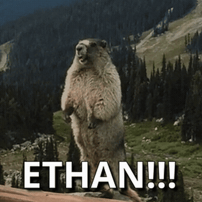 Squirrel Standing With Word Ethan GIF
