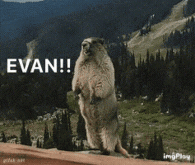 Squirrel Standing With Word Evan GIF