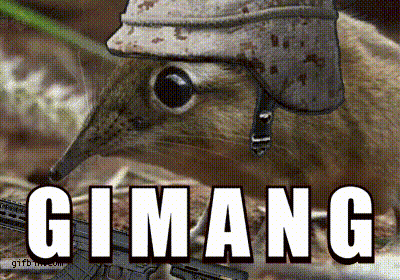 Squirrel Wearing Helmet Holding Gun Giman-G GIF