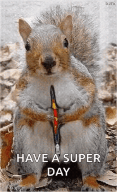Squirrel Wearing Leash Saying Have A Super Day GIF