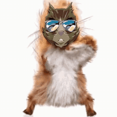 Squirrel Wearing Sunglasses And Mask Standing GIF