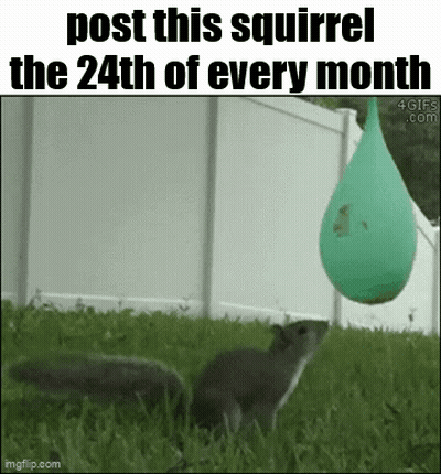 Squirrel With Green Balloon On Fence GIF