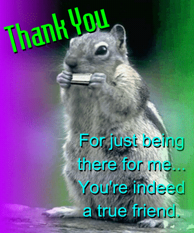 Squirrel With Harmonica Saying Thank You GIF