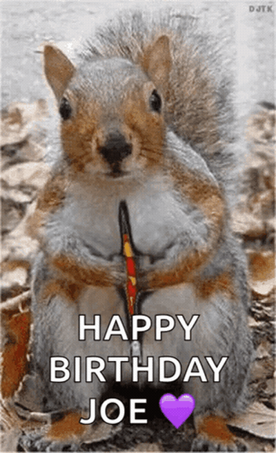 Squirrel With Leash Saying Have A Super Day GIF