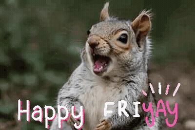 Squirrel With Open Mouth Happy Friday GIF