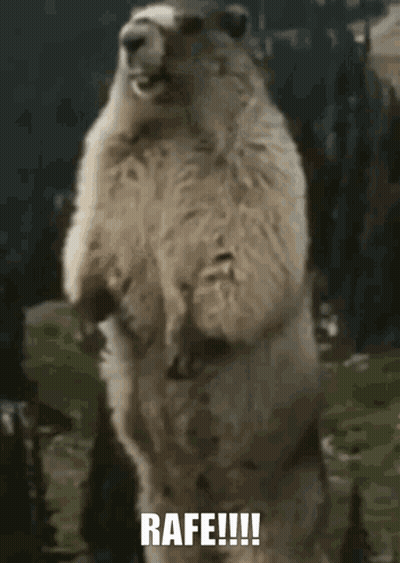 Squirrel With Open Mouth On Hind Legs Saying Rafe GIF
