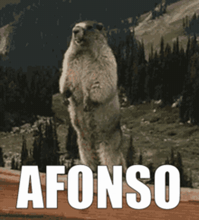 Squirrel with Word Afonso