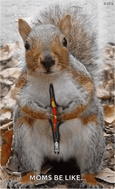 Squirrel With Zipper Neck Says Moms Be Like GIF