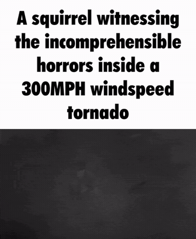 Squirrel Witnessing Horrors Inside 300 MPH Tornado GIF