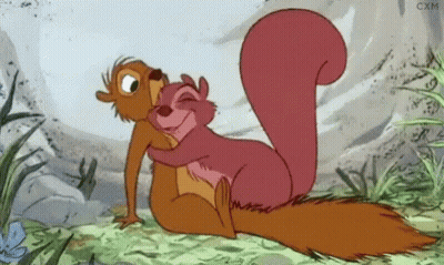 Squirrels Hugging In Cartoon GIF