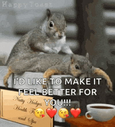 Squirrels I'd Like To Make It Feel Better GIF