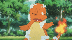 Squirtle Fights Charmander GIF