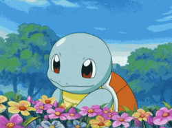 Squirtle Sniffing Spring Flower