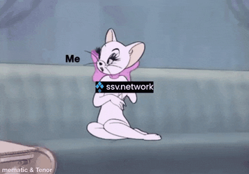 Ssv Ssv Network GIF