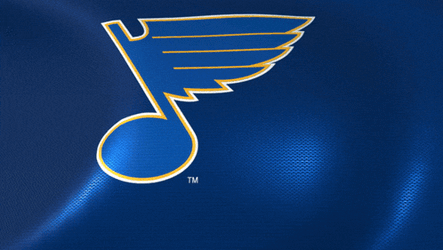 St Louis Blues Flag GIF