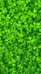St. Patrick's Day Blessings GIF