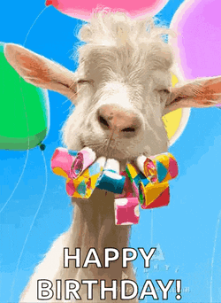 St Patricks Day Birthday GIF