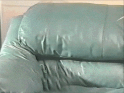 Stabbing A Sofa With Knife GIF