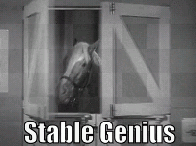 Stable Genius Horse Photo GIF