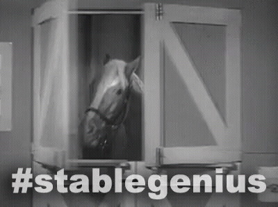 Stable Genius Mr Ed GIF