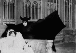 Stacia Napierkowska Classic Bat Vampire Movie GIF