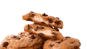Stack Of Chocolate Chip Cookies Sticker