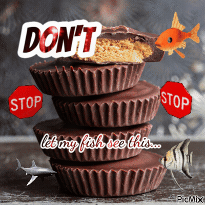 Stack Of Chocolate Peanut Butter Cups Saying Don't Let My Fish See This GIF