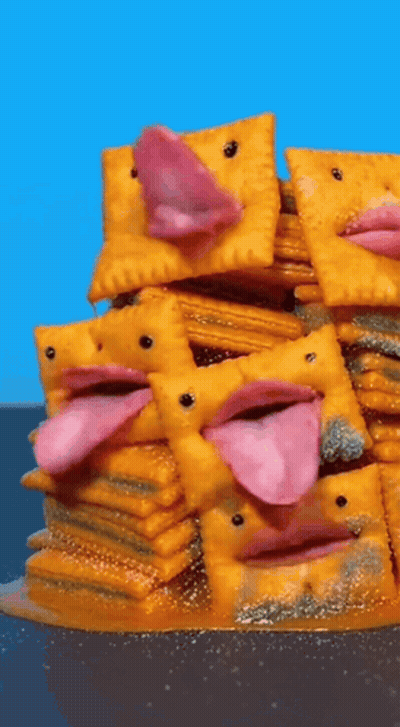 Stack Of Crackers With Faces GIF