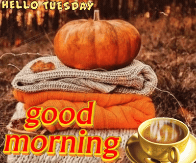 Stack Of Sweaters With Pumpkin And Coffee GIF