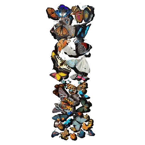 Stacked Butterflies Sticker