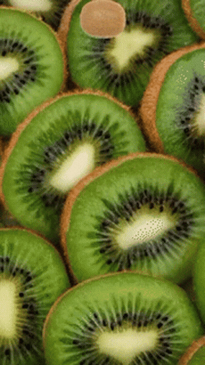 Stacked Kiwi Slices GIF