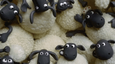 Stacked Stuffed Sheep With Big Eyes GIF