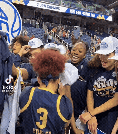 Stadium Crowd With 2024 Champs Sign GIF