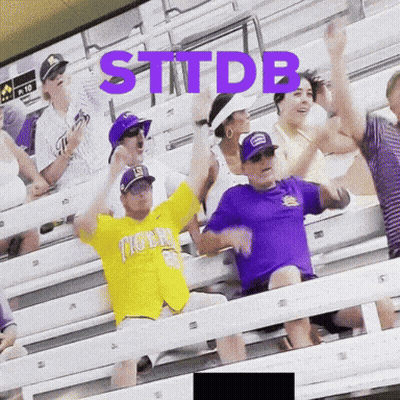 Stadium Crowd With Sttdb On Screen GIF