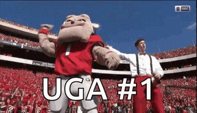 Stadium Mascot Uga #1 GIF